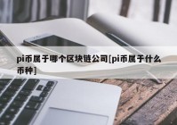 pi币属于哪个区块链公司[pi币属于什么币种]